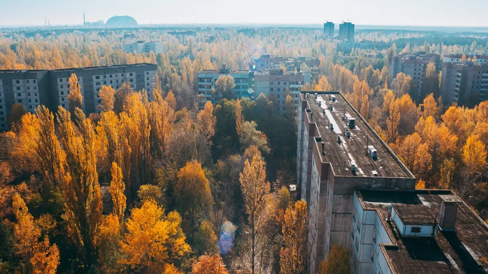 Chernobyl Rewilded